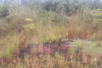 Undeveloped Land for sale in Hawaii County, Hawaii