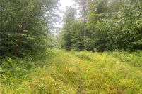 Land for sale in Price County, Wisconsin