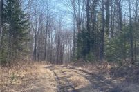 Land for sale in Price County, Wisconsin