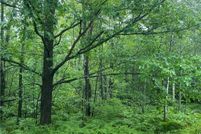 Land for sale in Price County, Wisconsin