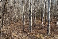 Undeveloped Land for sale in Price County, Wisconsin