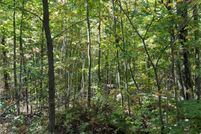 Land for sale in Bayfield County, Wisconsin