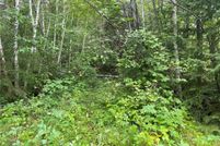 Undeveloped Land for sale in Sawyer County, Wisconsin