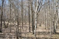 Undeveloped Land for sale in Barron County, Wisconsin
