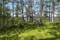 Undeveloped Land for sale in Sawyer County, Wisconsin