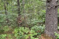 Land for sale in Bayfield County, Wisconsin