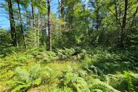 Land for sale in Jackson County, Wisconsin