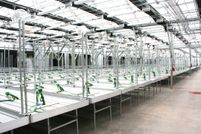 Land for sale in Chippewa County, Wisconsin