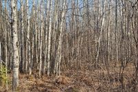 Land for sale in Price County, Wisconsin