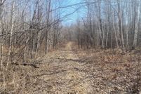 Undeveloped Land for sale in Price County, Wisconsin