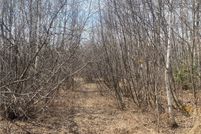 Land for sale in Price County, Wisconsin