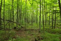 Land for sale in Bayfield County, Wisconsin