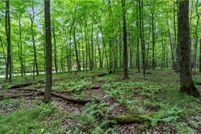 Undeveloped Land for sale in Barron County, Wisconsin