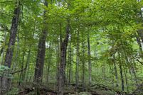 Undeveloped Land for sale in Douglas County, Wisconsin