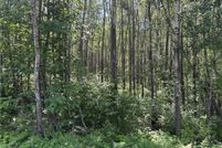 Undeveloped Land for sale in Sawyer County, Wisconsin