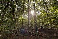 Undeveloped Land for sale in Benzie County, Michigan