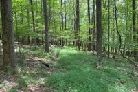 Land for sale in Somerset County, Pennsylvania