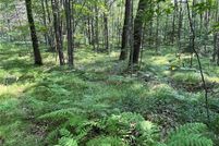 Land for sale in Sawyer County, Wisconsin