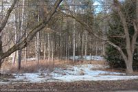Undeveloped Land for sale in Shiawassee County, Michigan