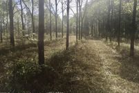 Land for sale in Clinton County, Michigan