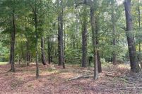 Land for sale in Clarendon County, South Carolina