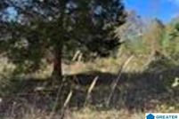 Land for sale in Cleburne County, Alabama