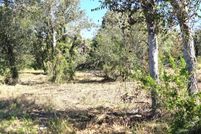 Land for sale in Bee County, Texas