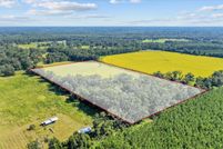 Land for sale in Lafayette County, Florida