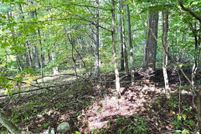 Homesite for sale in Ulster County, New York