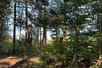 Land for sale in Strafford County, New Hampshire