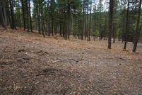 Undeveloped Land for sale in Plumas County, California