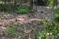 Land for sale in Surry County, North Carolina