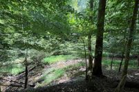 Undeveloped Land for sale in Gilmer County, Georgia