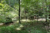 Land for sale in Gilmer County, Georgia