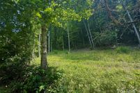 Land for sale in Madison County, North Carolina