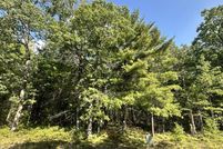 Undeveloped Land for sale in Otsego County, Michigan