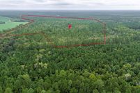 Land for sale in Effingham County, Georgia