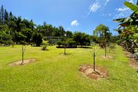 Land for sale in Hawaii County, Hawaii