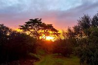 Land for sale in Hawaii County, Hawaii