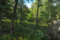 Land for sale in Reynolds County, Missouri