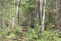 Land for sale in Alger County, Michigan