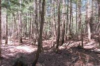 Undeveloped Land for sale in Houghton County, Michigan