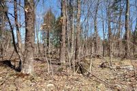 Undeveloped Land for sale in Baraga County, Michigan