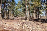 Undeveloped Land for sale in Baraga County, Michigan