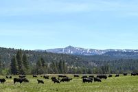 Farm and Ranch for sale in Modoc County, California