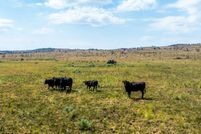 Undeveloped Land for sale in Lassen County, California