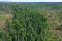 Land for sale in Luce County, Michigan