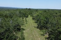 Undeveloped Land for sale in Pushmataha County, Oklahoma