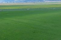 Land for sale in Modoc County, California