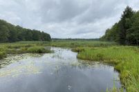 Timberland Property for sale in Oswego County, New York
